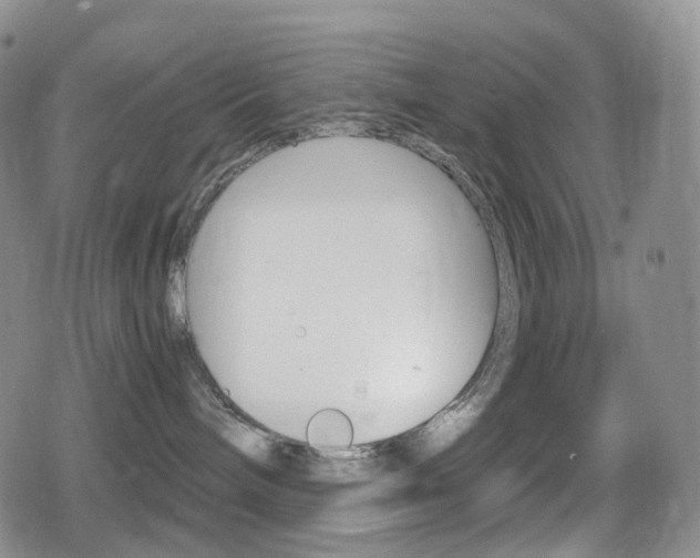 X0000080730240200612150911