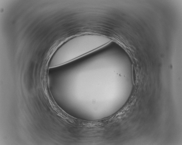 X0000080730241200612150910