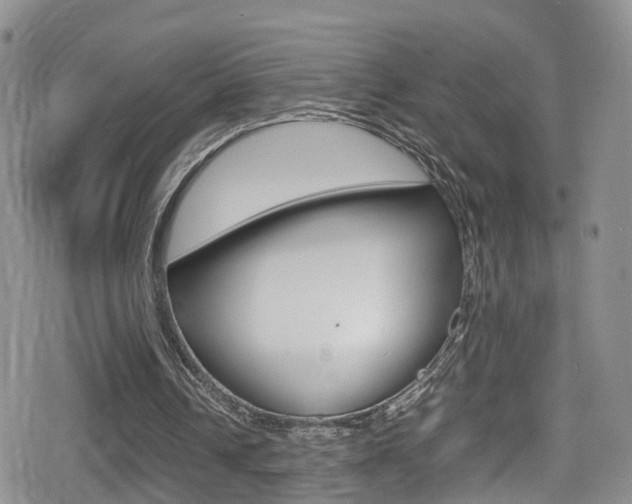 X0000080730242200612150910