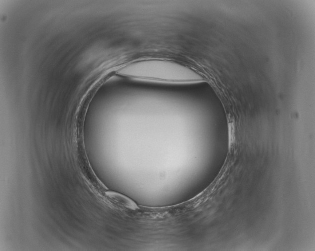 X0000080730243200612150910