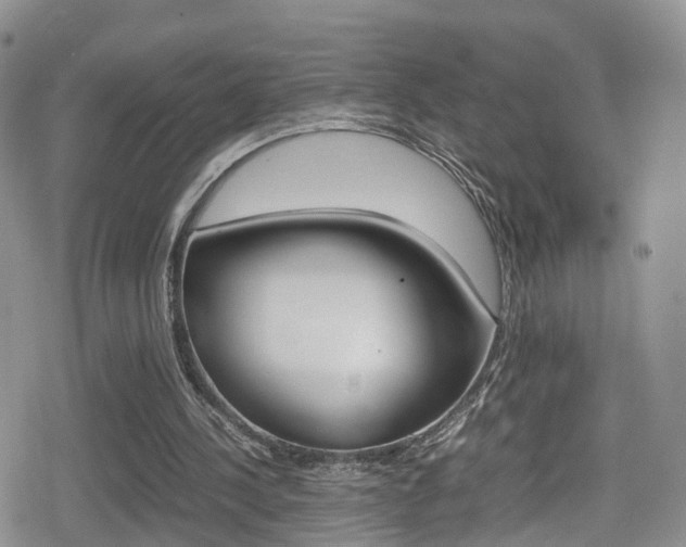 X0000080730244200612150910