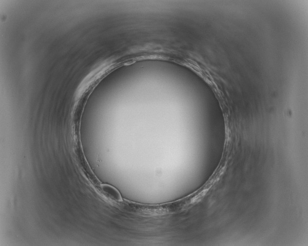 X0000080730245200612150910