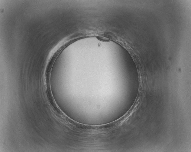 X0000080730246200612150910