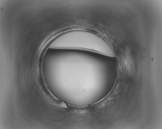 X0000080730247200612150910