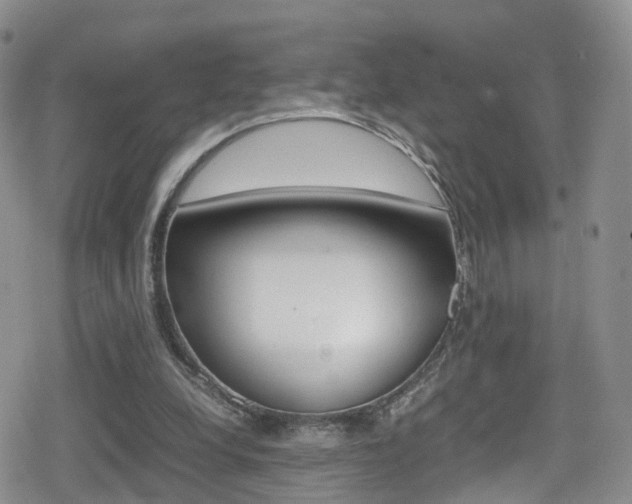 X0000080730248200612150910