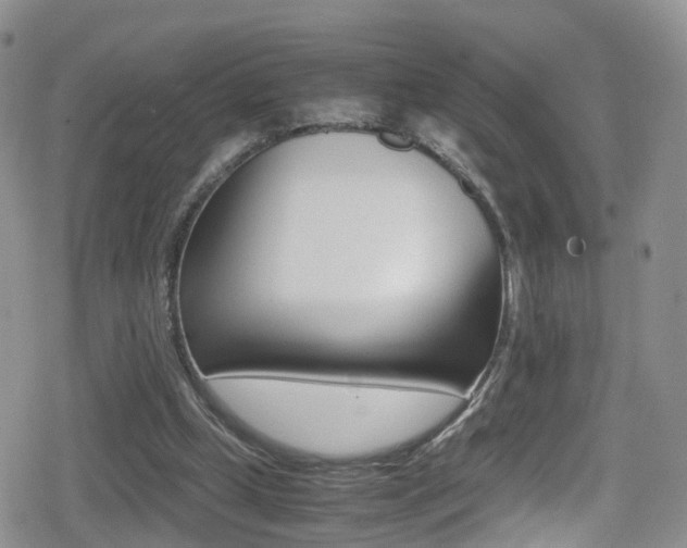 X0000080730249200612150910