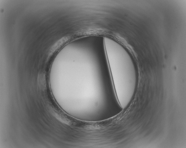 X0000080730250200612150910