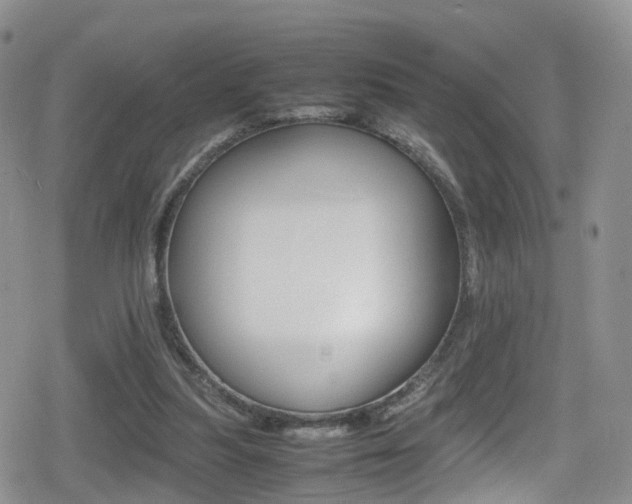 X0000080730251200612150910