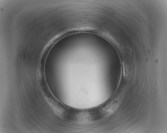 X0000080730252200612150910