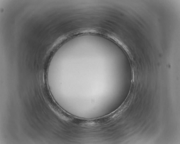 X0000080730253200612150910