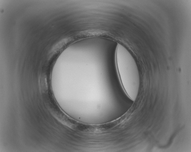 X0000080730254200612150910