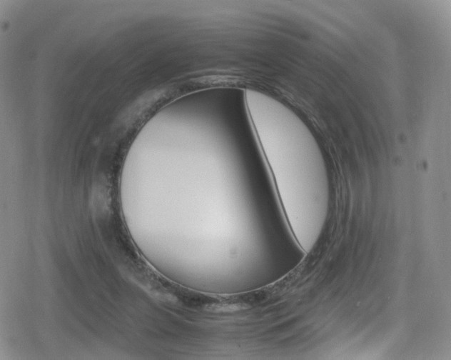 X0000080730255200612150910