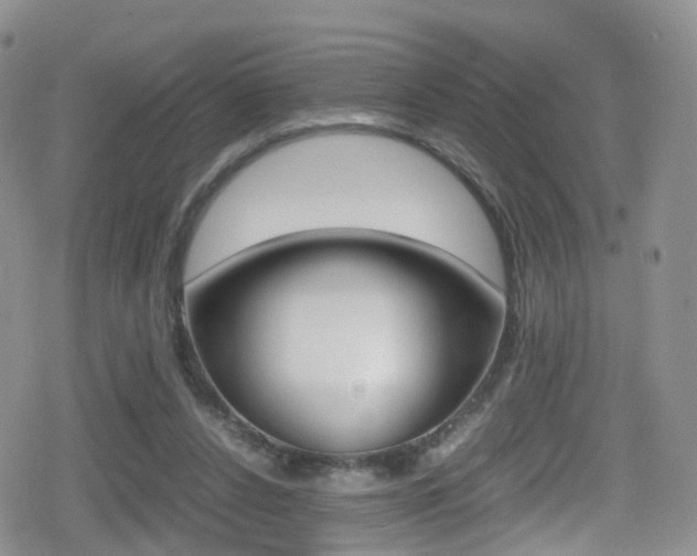 X0000080730256200612150910