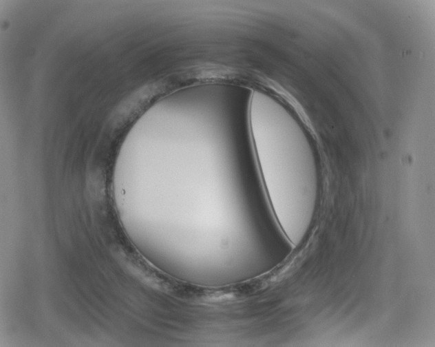 X0000080730257200612150910