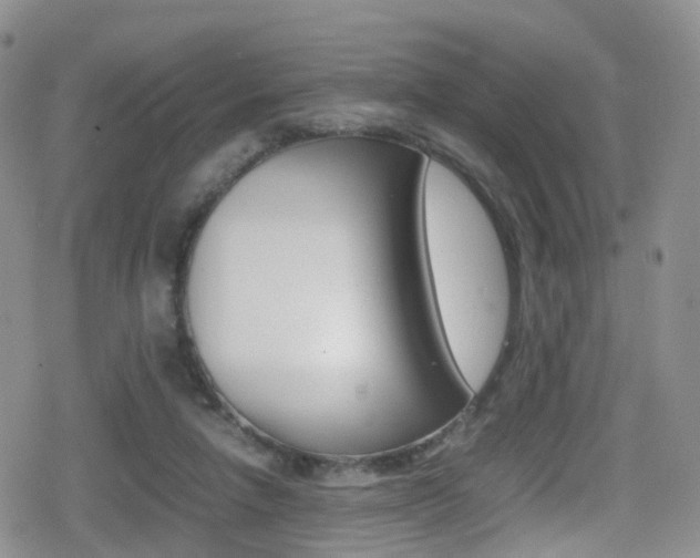 X0000080730258200612150910