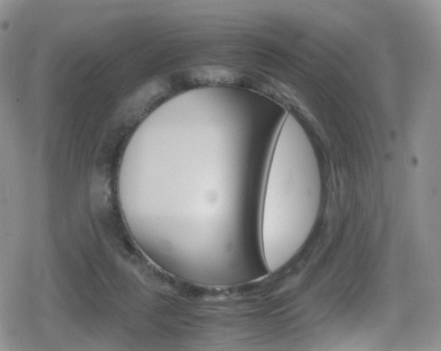 X0000080730259200612150910