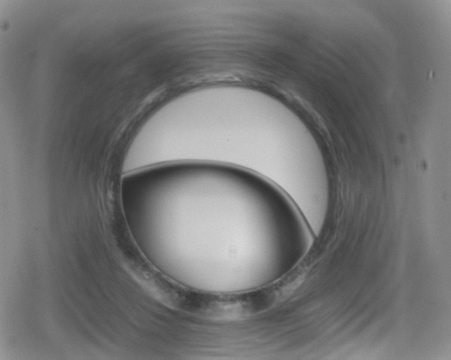 X0000080730260200612150910