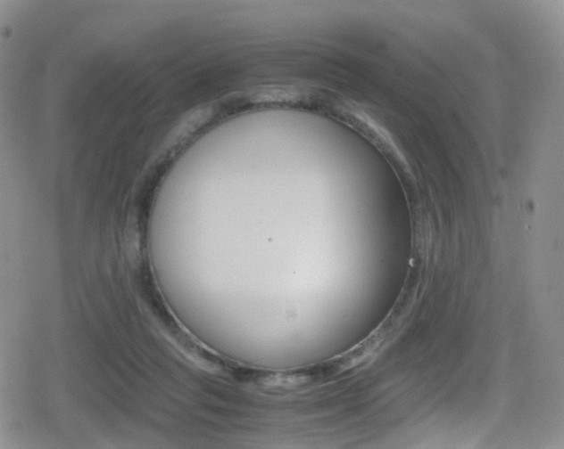 X0000080730261200612150910