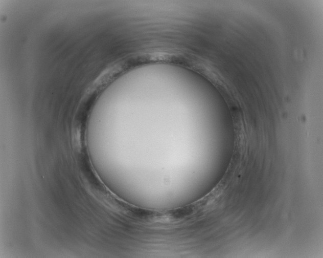 X0000080730262200612150910