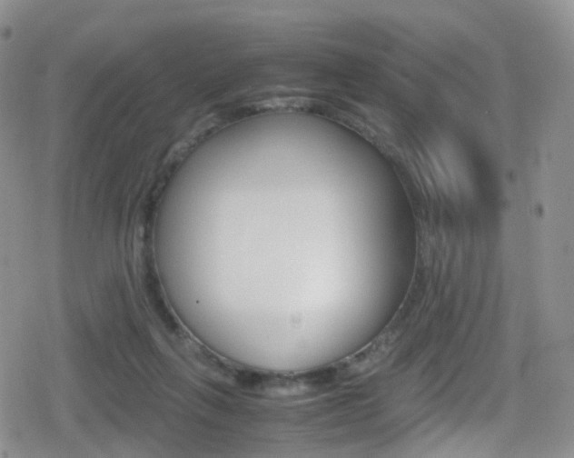 X0000080730263200612150910