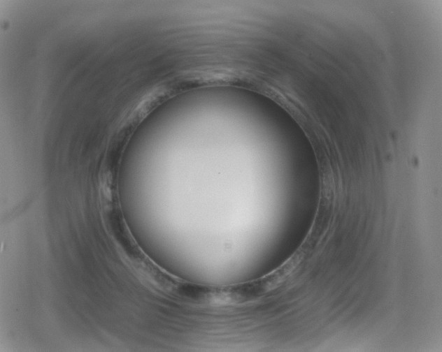 X0000080730264200612150910