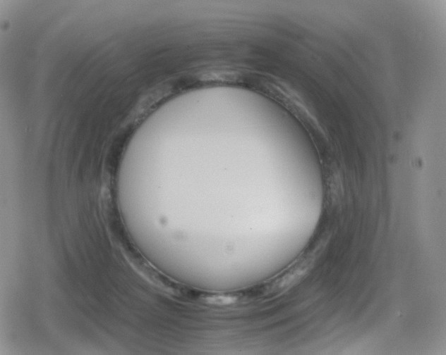 X0000080730265200612150911