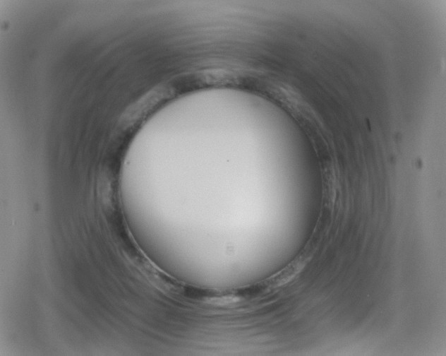 X0000080730266200612150911