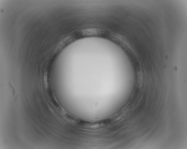 X0000080730267200612150911