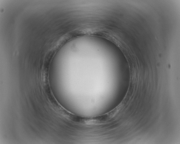 X0000080730268200612150911