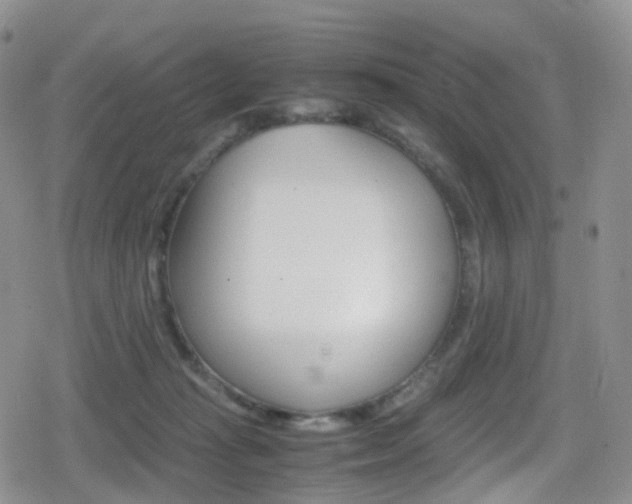 X0000080730269200612150911