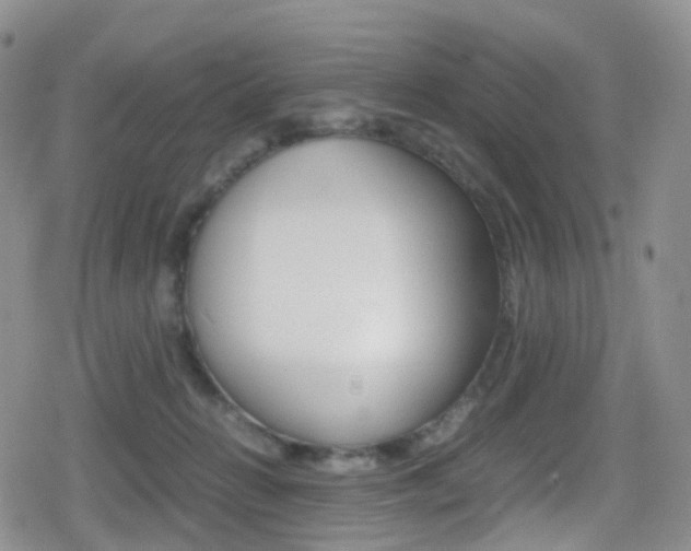 X0000080730270200612150911