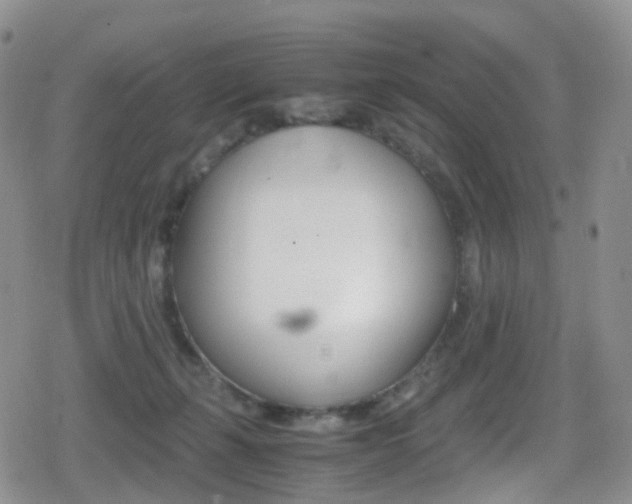 X0000080730271200612150911