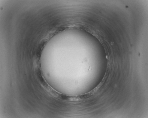 X0000080730272200612150911