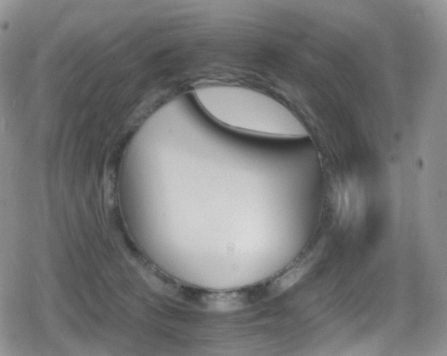 X0000080730273200612150911