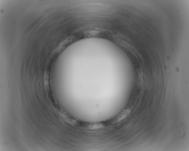 X0000080730274200612150911