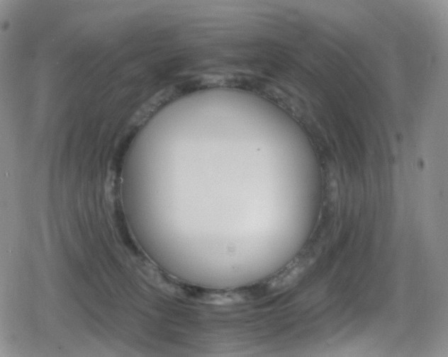 X0000080730275200612150911