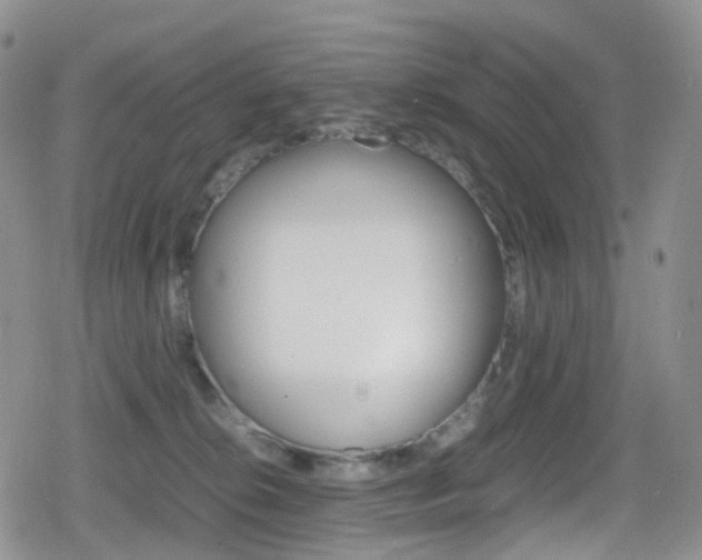 X0000080730276200612150911