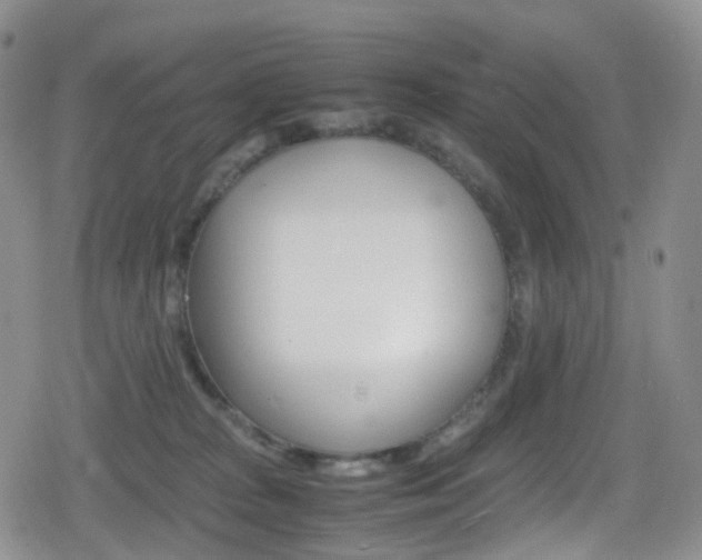 X0000080730277200612150911