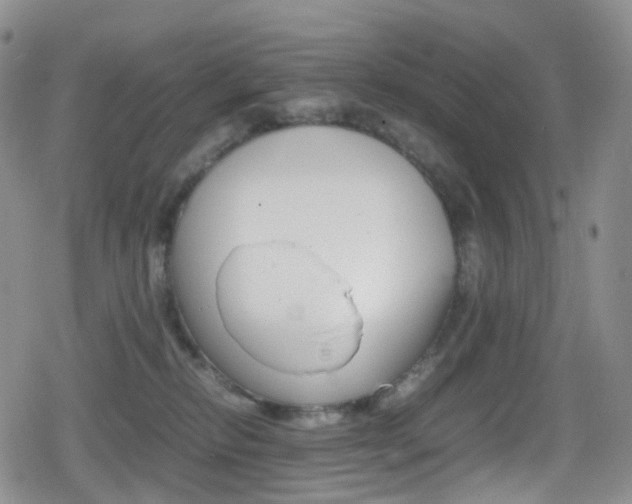 X0000080730278200612150911