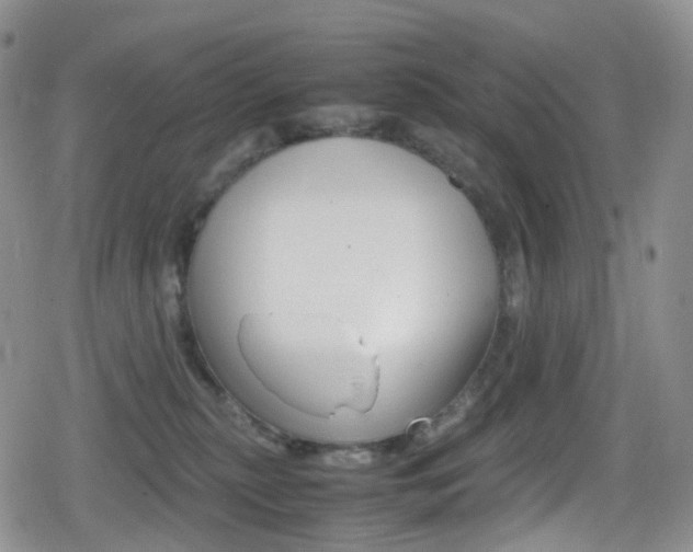 X0000080730279200612150911