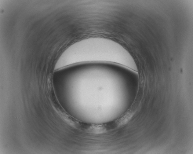 X0000080730280200612150911