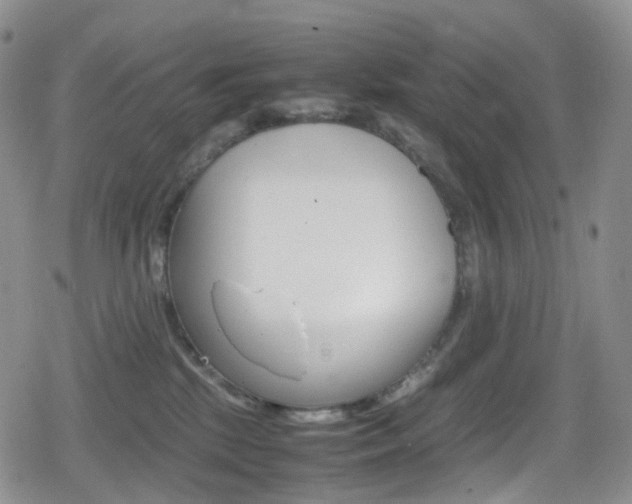 X0000080730281200612150911