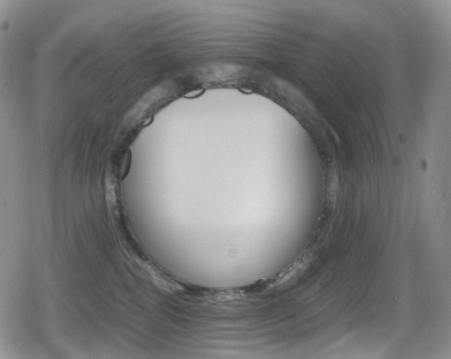 X0000080730282200612150911