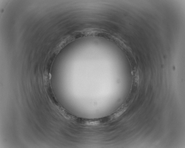 X0000080730283200612150911