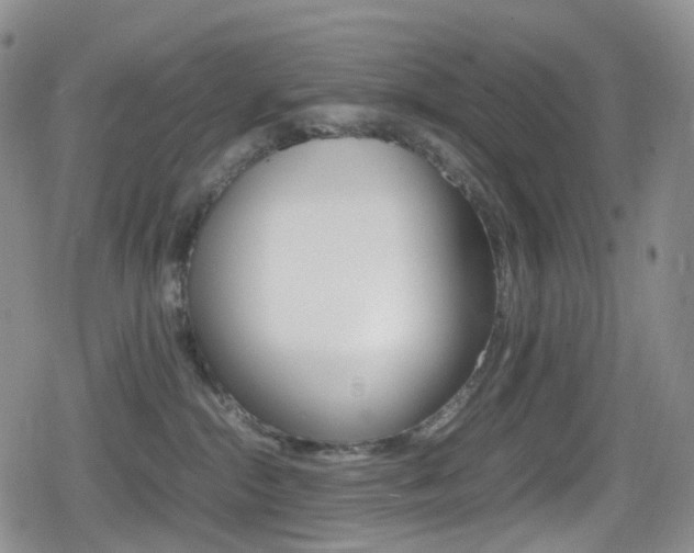 X0000080730284200612150911