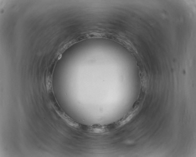 X0000080730285200612150911