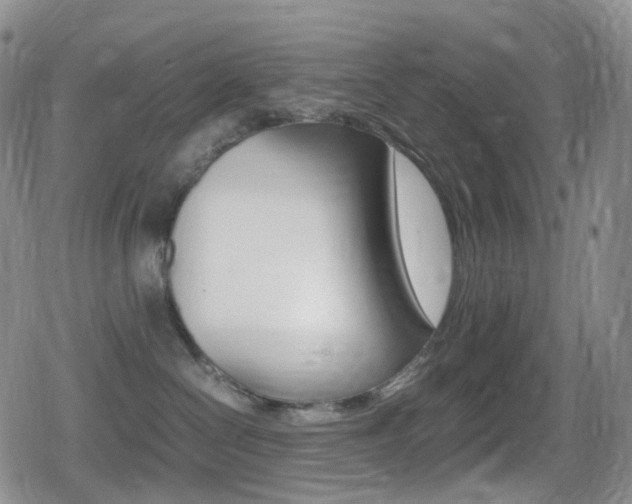 X0000080730286200612150911