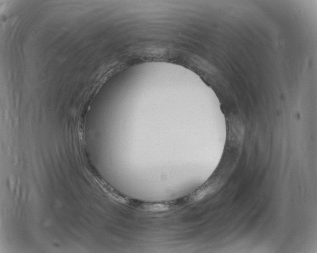 X0000080730287200612150911