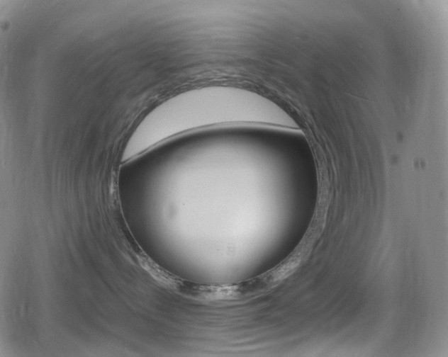 X0000080730288200612150911