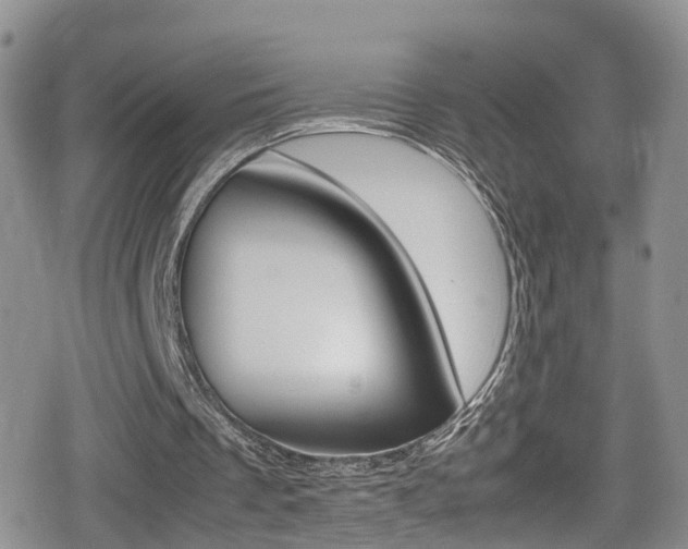 X0000080730289200612150910